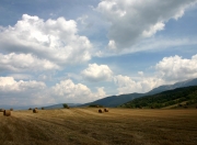 英雄联盟总决赛-莫兰特死亡封盖撕裂纽约，快船客场全身而退，他是唯一的关键先生