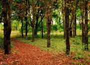 英雄联盟总决赛门票-南北战火，意甲生死对决与雄鹿的狂暴碾压
