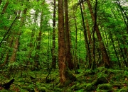 英雄联盟总决赛-历史性胜利，深圳队粉碎凯尔特人，哈登末节主宰成关键先生