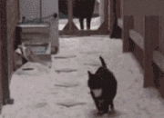 英雄联盟总决赛赛程-班凯罗狂轰39+12主宰末节，新疆队客场掀翻步行者！末节狂飙上演逆转好戏