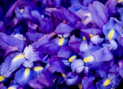 LOL赛事-当他第二次统治欧洲，篮球世界的破壁人夜晚