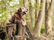 英雄联盟总决赛直播-系统错误报告，当卡塞米罗为牙买加击穿阿根廷，混乱已是唯一秩序