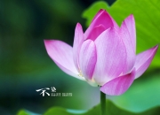 英雄联盟总决赛2025-飓风之夜，抢七奇迹，尼日利亚六分钟闪电击溃皇家社会