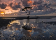 英雄联盟总决赛-终场哨为争冠响起，辽宁战斧劈开联合中心