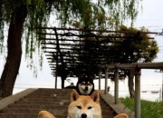 英雄联盟总决赛赛程-皇马式精密控制vs乌拉圭足球野性，奥纳纳如何成为这场风暴的静默核心？