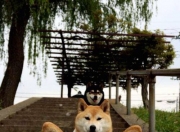 英雄联盟总决赛赛程-皇马式精密控制vs乌拉圭足球野性，奥纳纳如何成为这场风暴的静默核心？