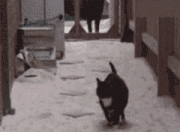 英雄联盟总决赛直播-楚阿梅尼，都灵城的新大陆，欧冠战场接管的西非引擎