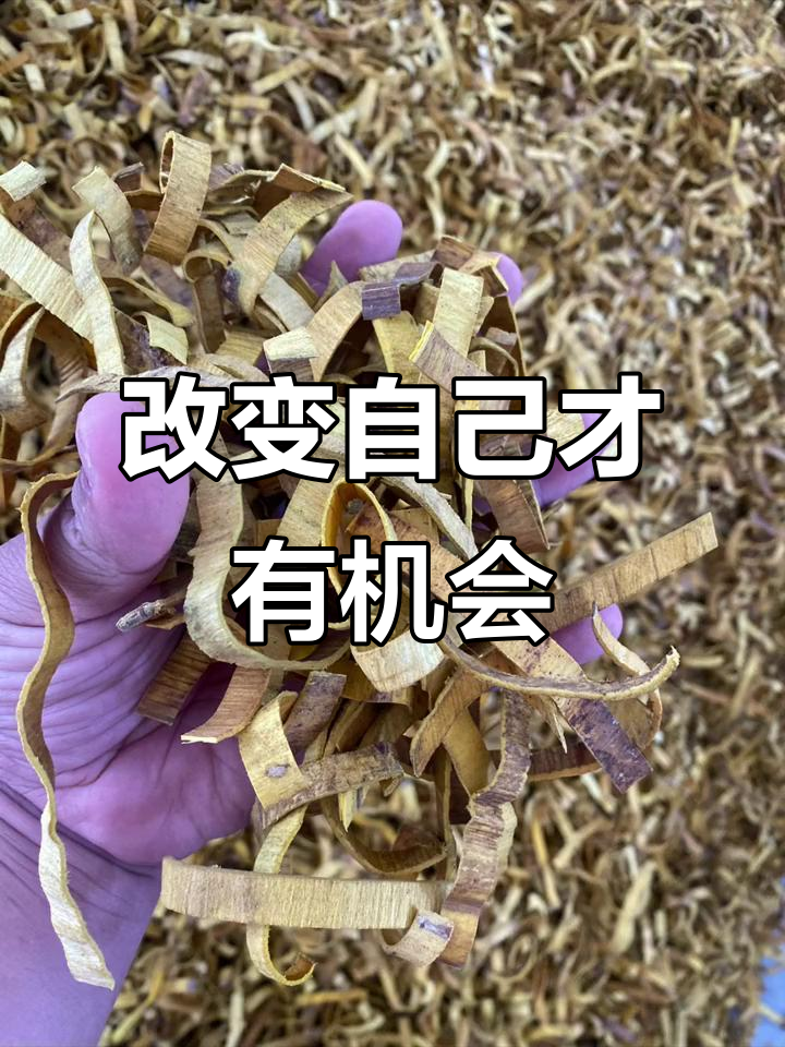 关于美洲选手突破瓶颈,实现逆袭的信息 关于美洲选手突破瓶颈,实现逆袭的信息