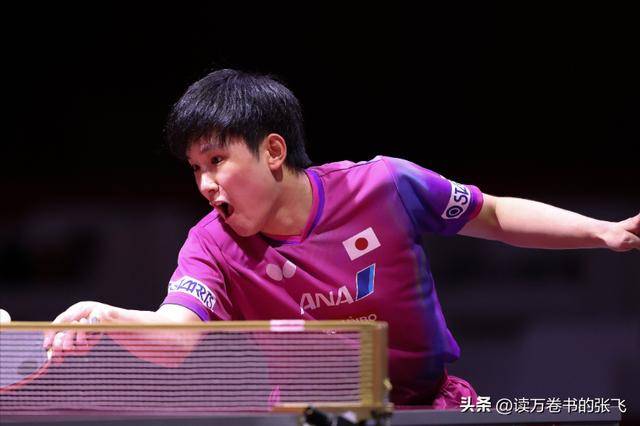 德国队逆转中国队，张本智和高光表现