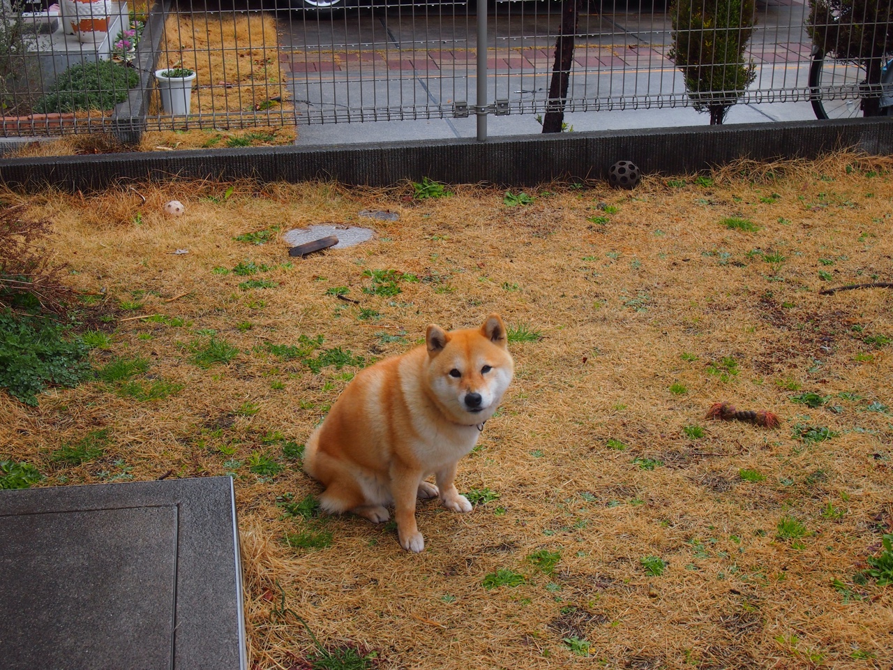 星空下的刺客，当杜兰特在亚平宁投出最后一击