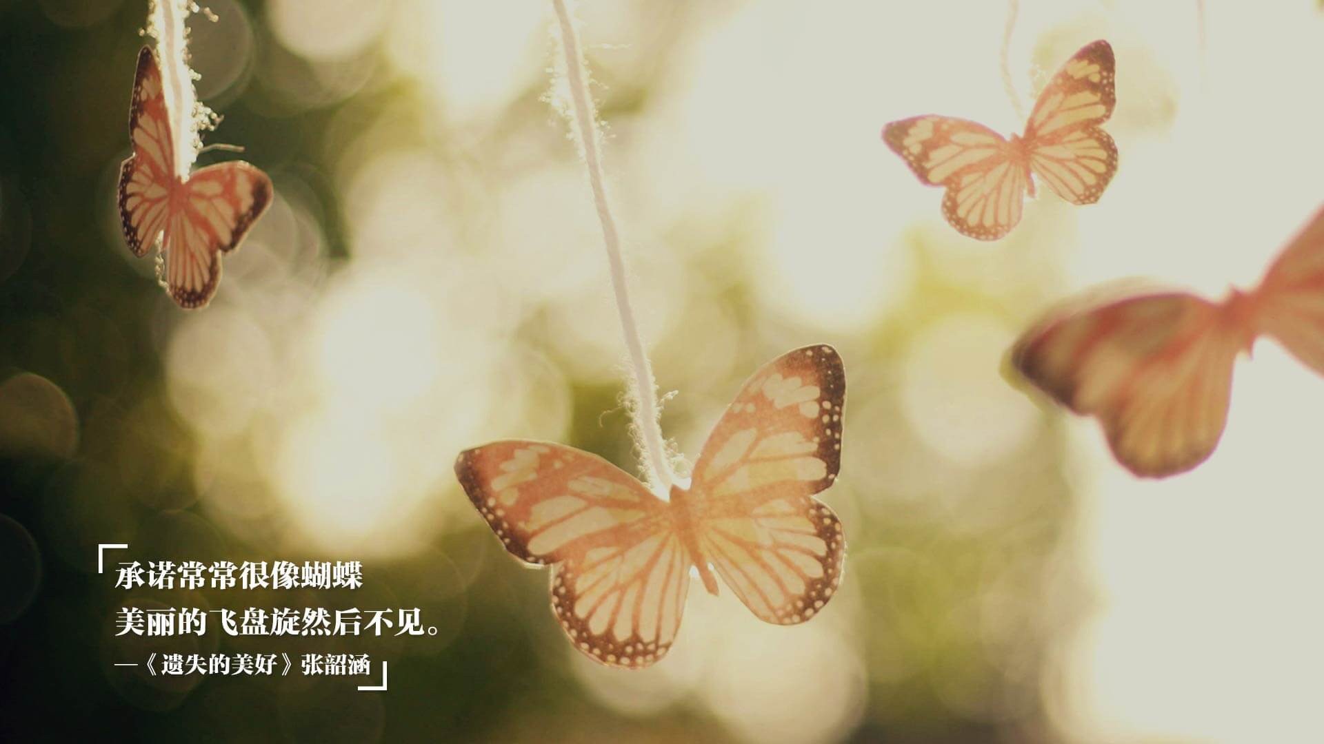 极速与绝境,当F1揭幕战邂逅荷兰生死战