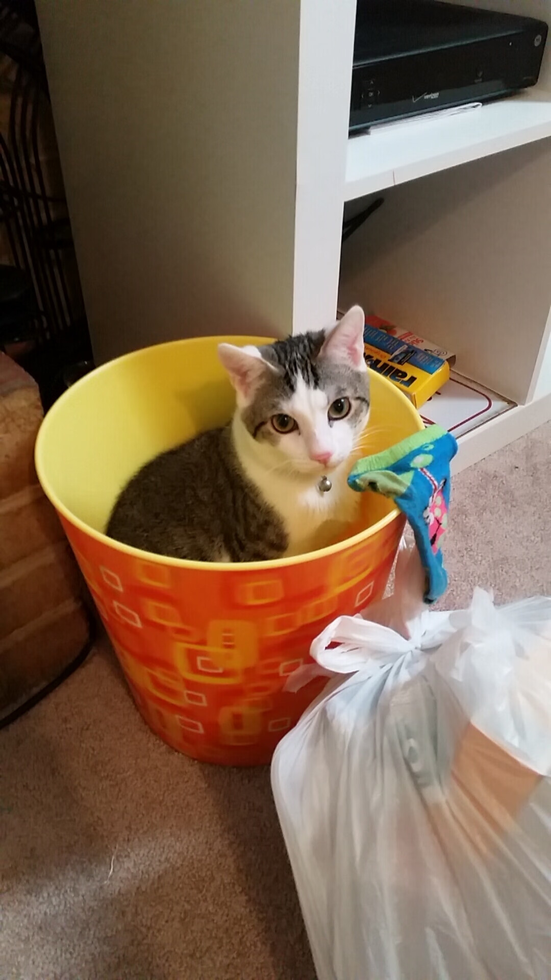 我看到您将NBA球员马克西（通常指泰雷斯·马克西）与CBA球队广东队放在了一起。这很可能是一个跨越联赛的有趣想象，或是某个特定混合赛事的情景