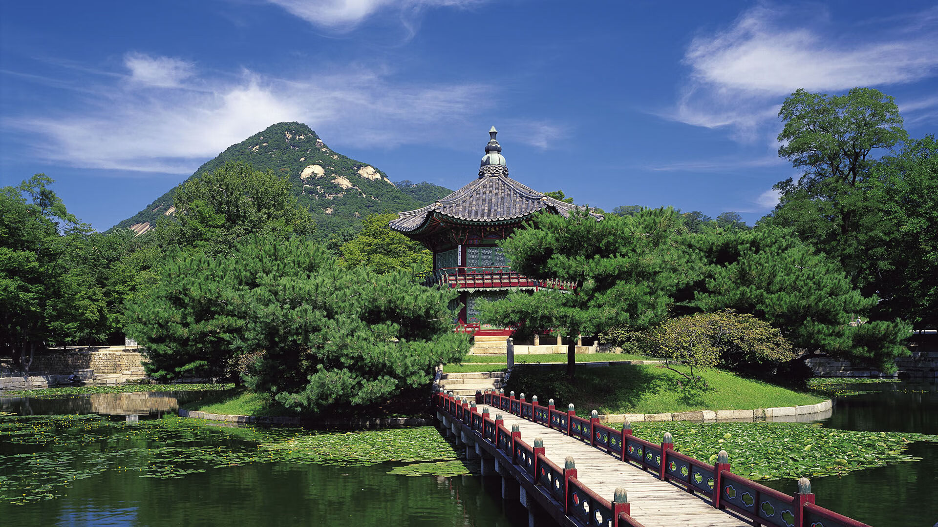 降维打击,当约基奇成为一道无解题