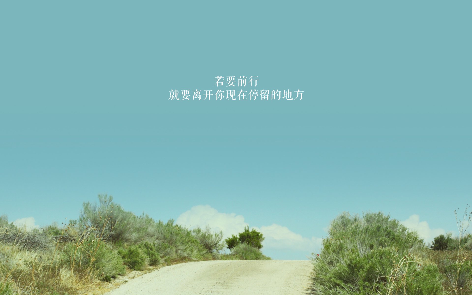 实力证明,范弗利特带领森林狼击败吉林队