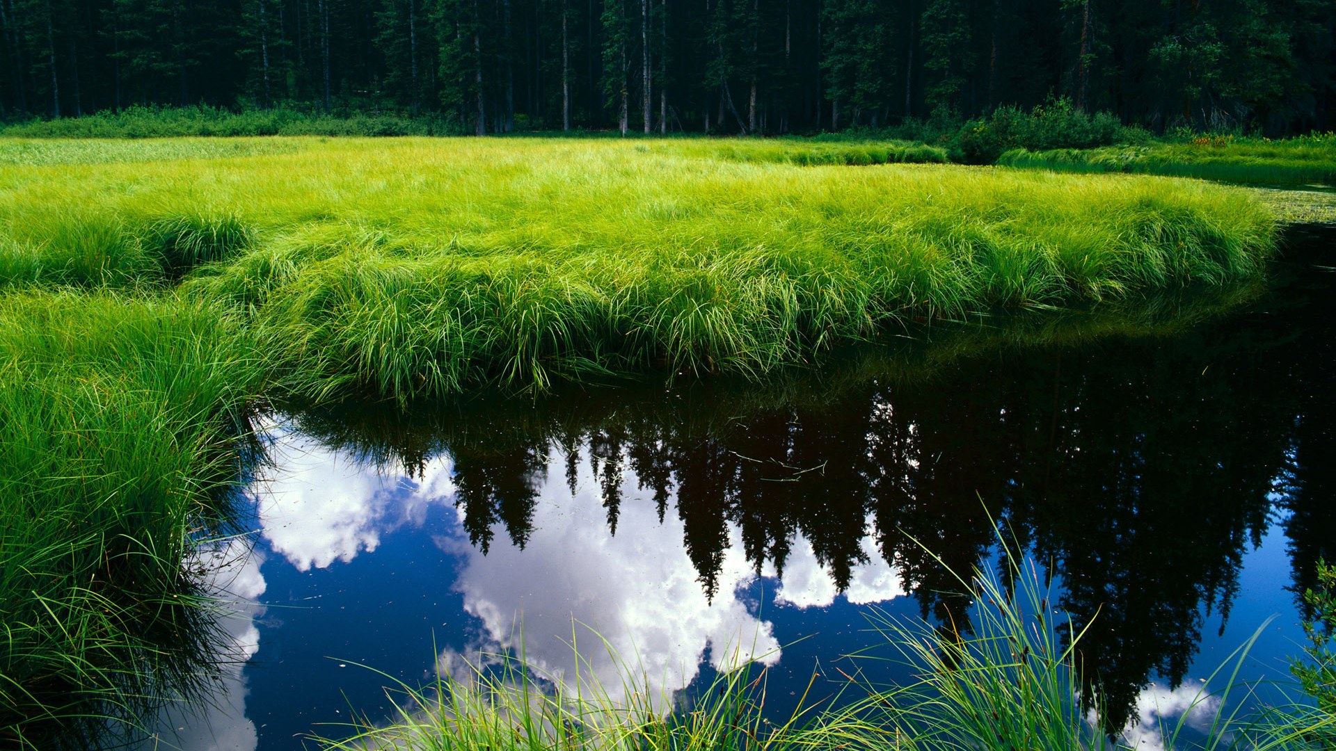 擎天柱与青春风暴，戈贝尔的稳定输出与公牛的冲垮战术