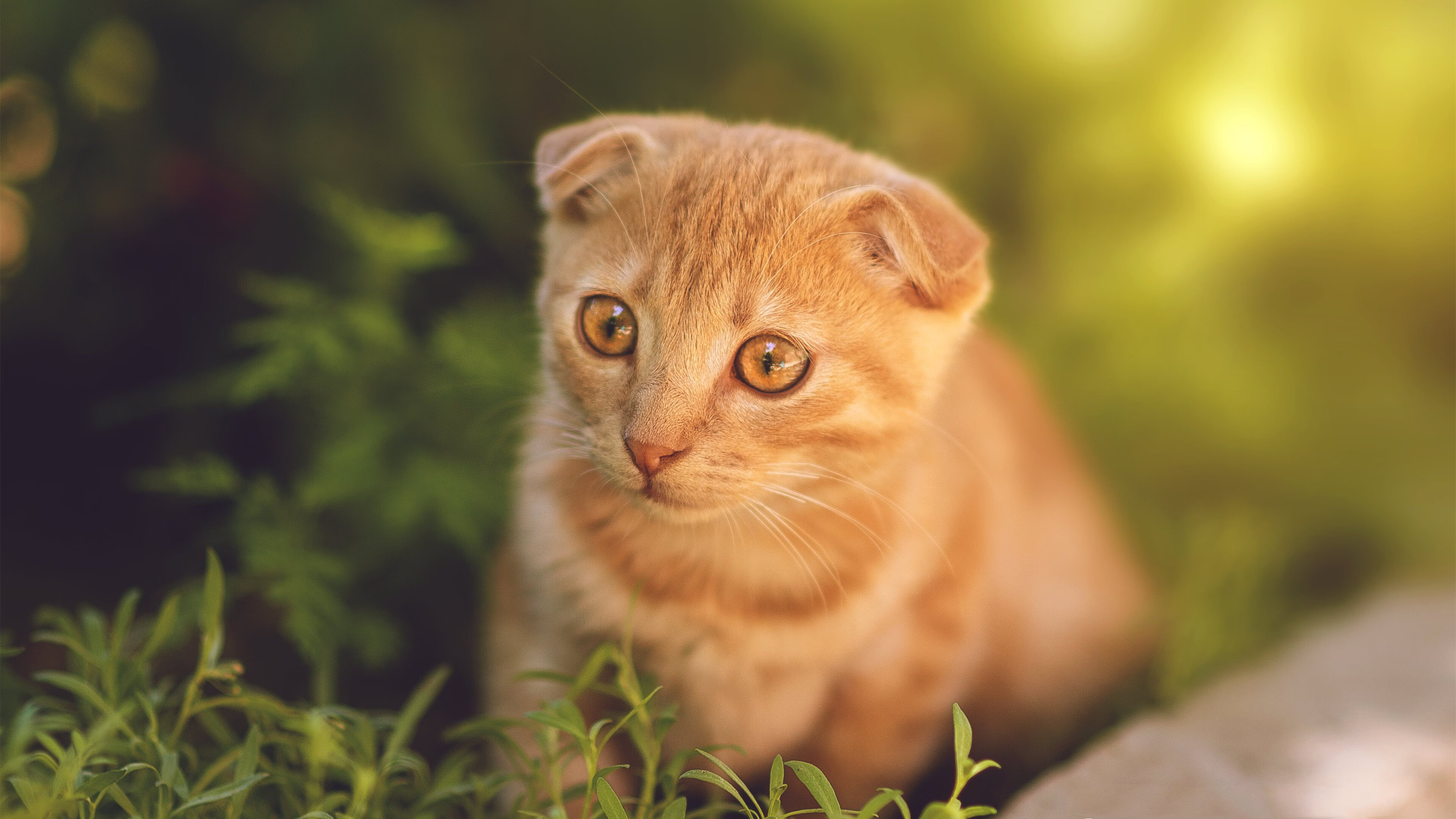 赛道与球场,当F1之夜降临,字母哥如赛车般无解