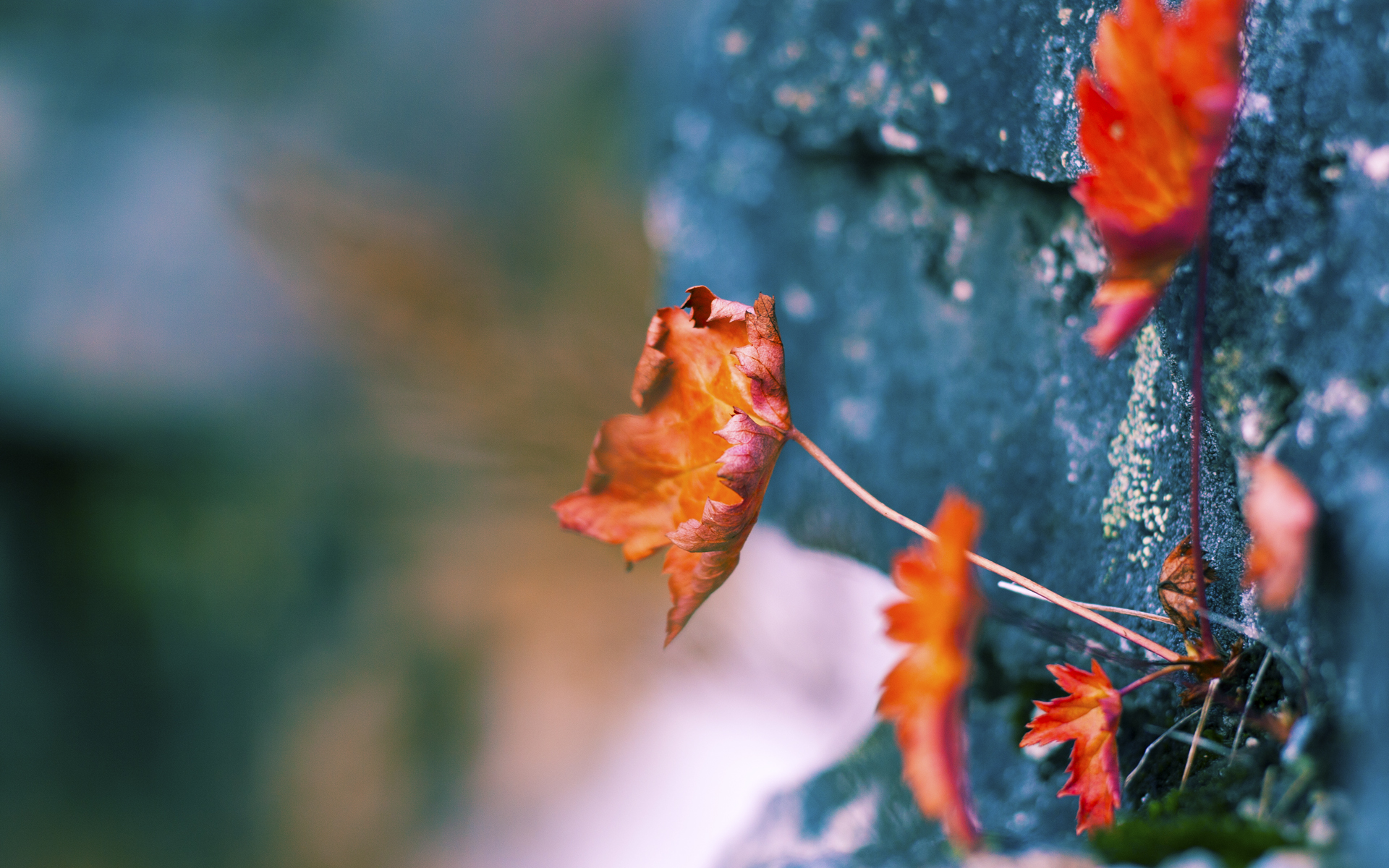 东西部各展统治力，字母哥闪耀全场，太阳轻取湖人彰显实力