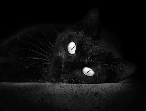 铁幕下的奇袭，塞维利亚用完美牢笼锁死马竞，特奥为何成为西蒙尼体系的全新解题人？