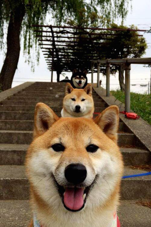 皇马式精密控制vs乌拉圭足球野性，奥纳纳如何成为这场风暴的静默核心？