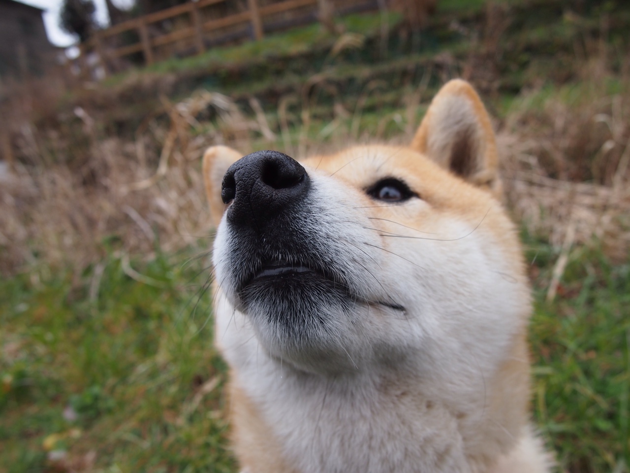 北欧冰刃破风而出!博塔斯巴林制霸,芬兰力压英格兰揭幕战称王