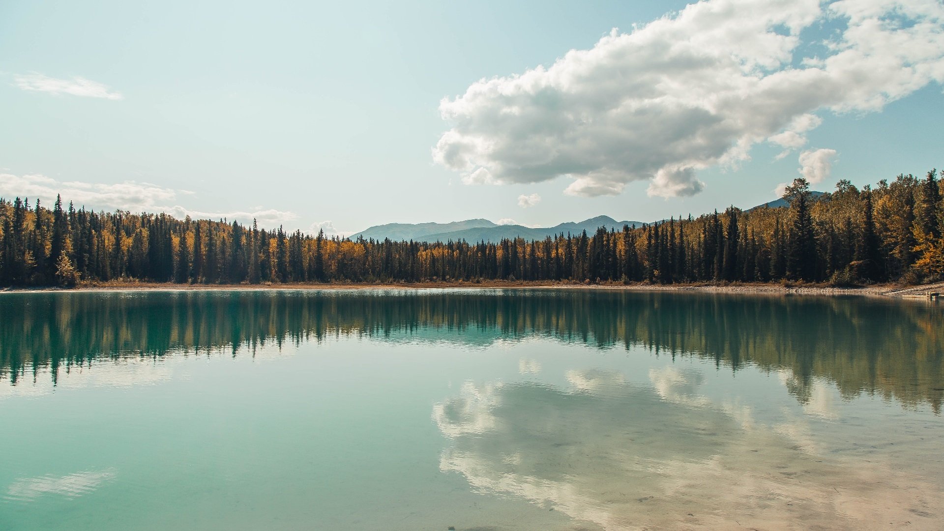 掌控的艺术，尤文节奏制胜毕尔巴鄂，加维欧冠决赛—战封神
