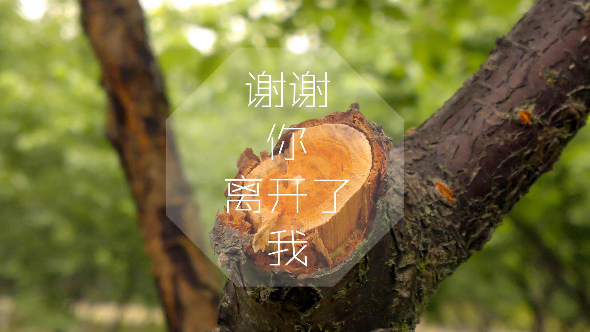 沙漠绿洲中的天蓝风暴,2026世界杯F组,乌拉圭逆转伊拉克,贝林厄姆完成致命一击