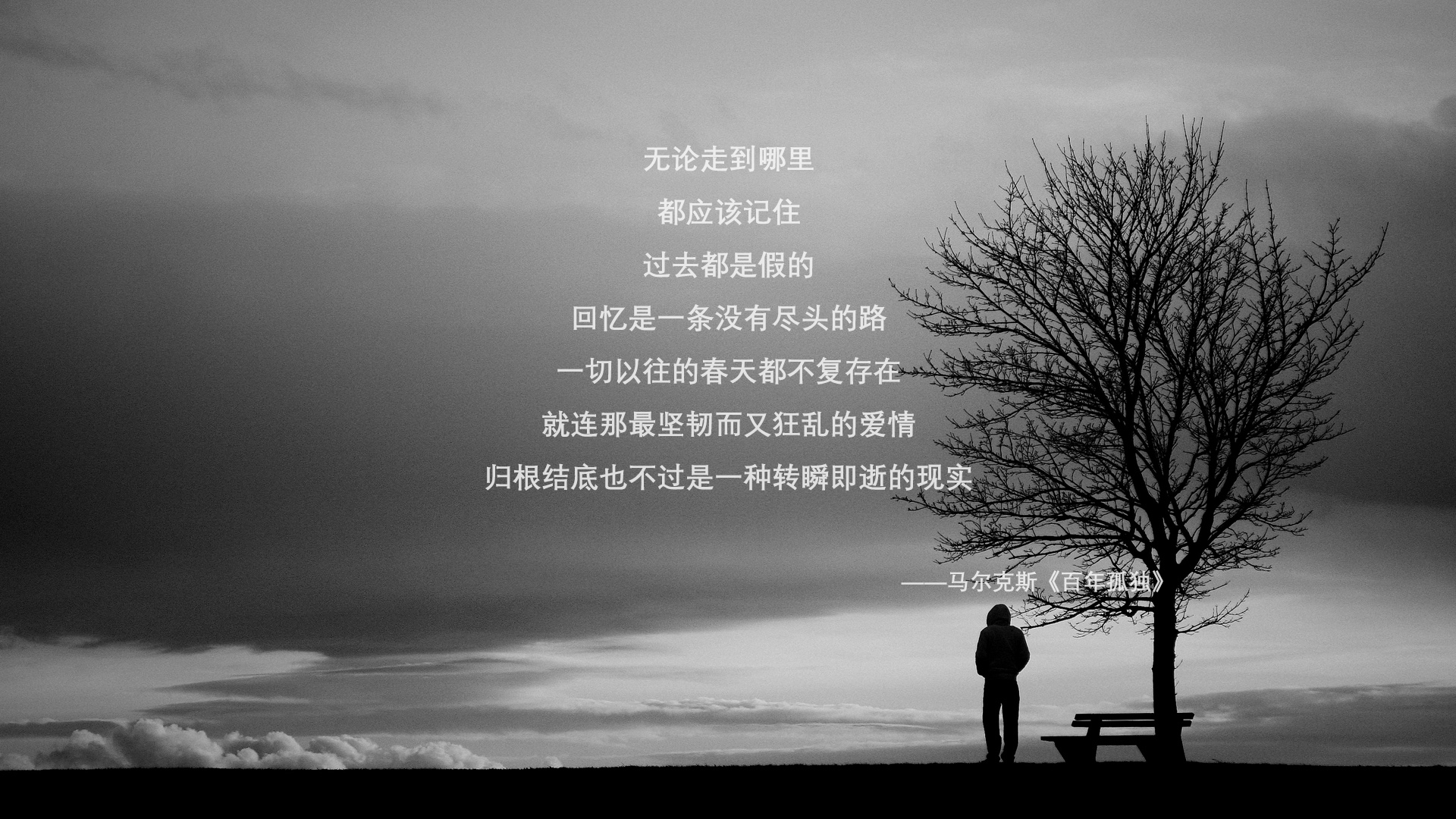 冷与火的碰撞,2026世界杯D组,冰岛用坚韧撕碎美国梦,迪亚斯耀世登场