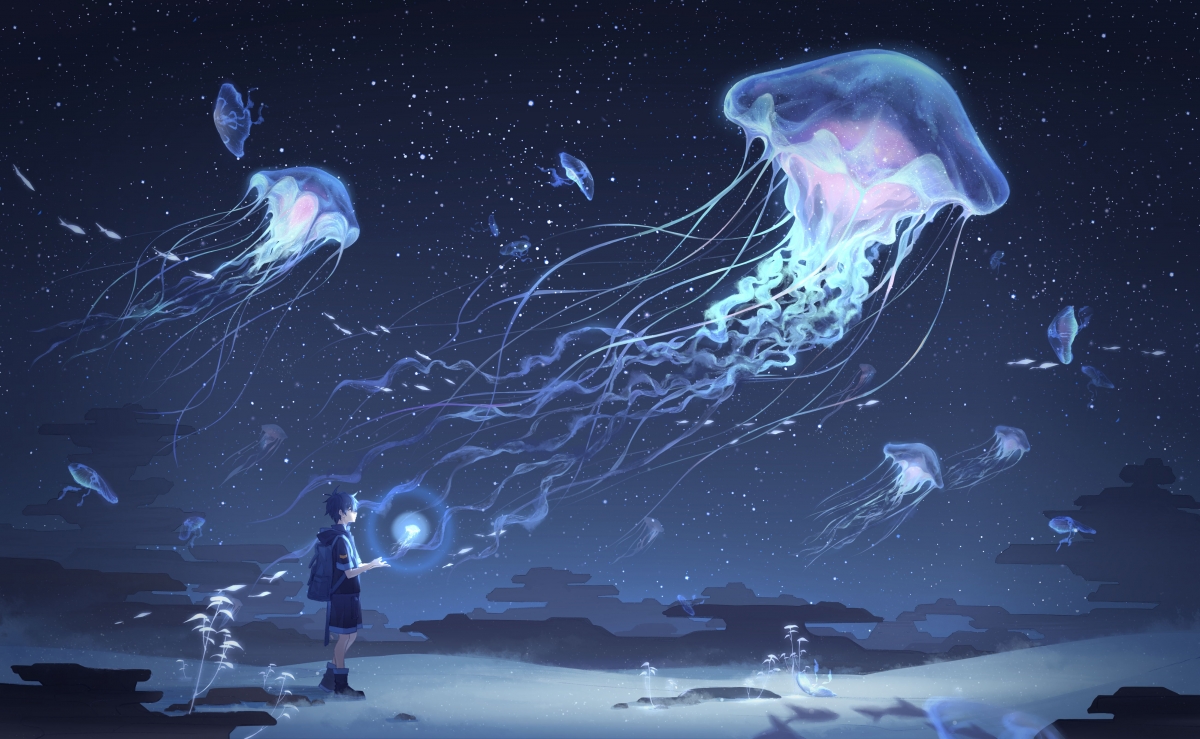 孤星逆旅,2026世界杯A组焦点战,哈兰德一人撕裂天穹,尼日利亚力克厄瓜多尔