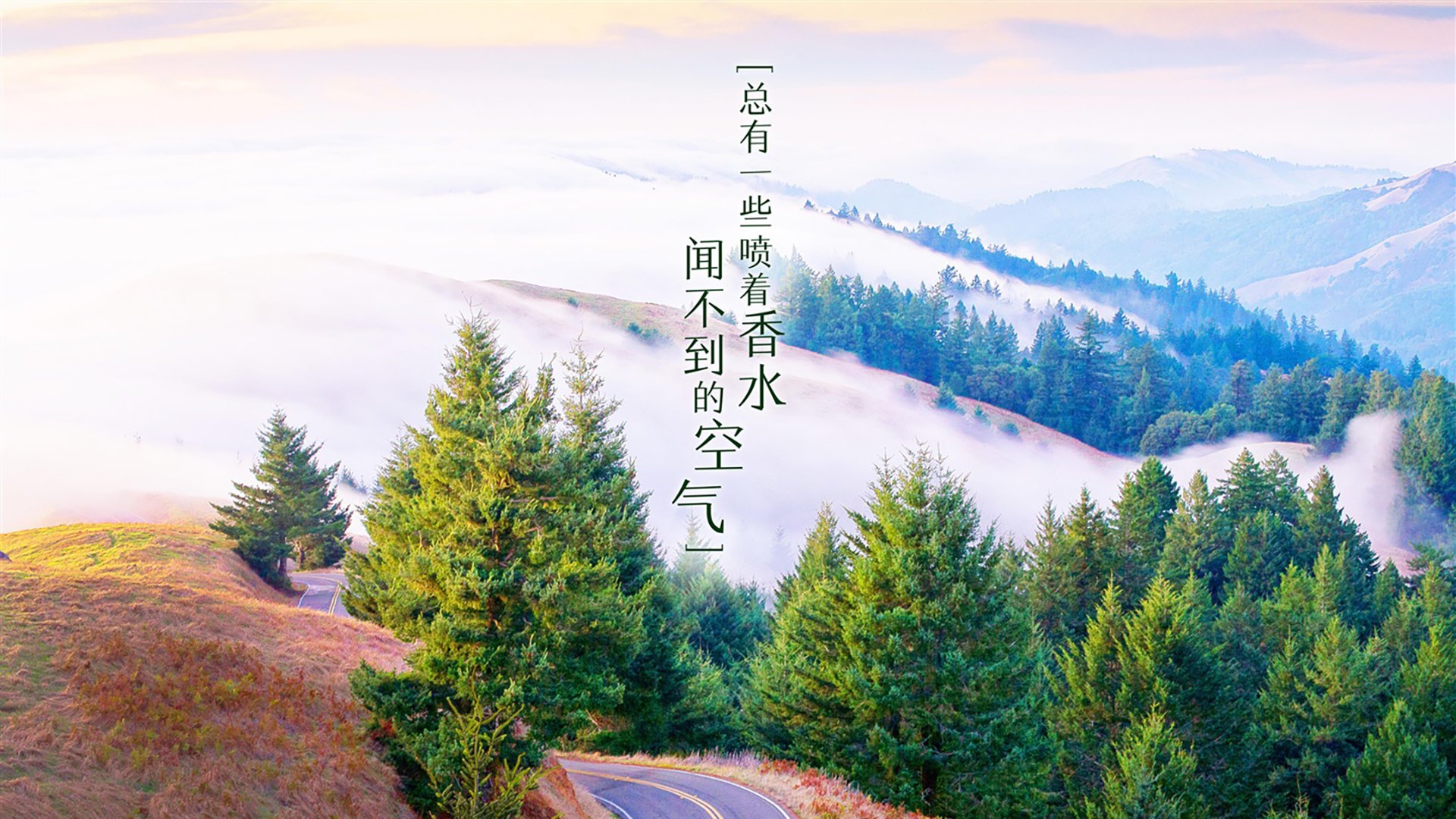 红魔破冰,独舞者登贝莱—2026世界杯G组焦点战,比利时如何用一场唯一的胜利碾碎芬兰防线