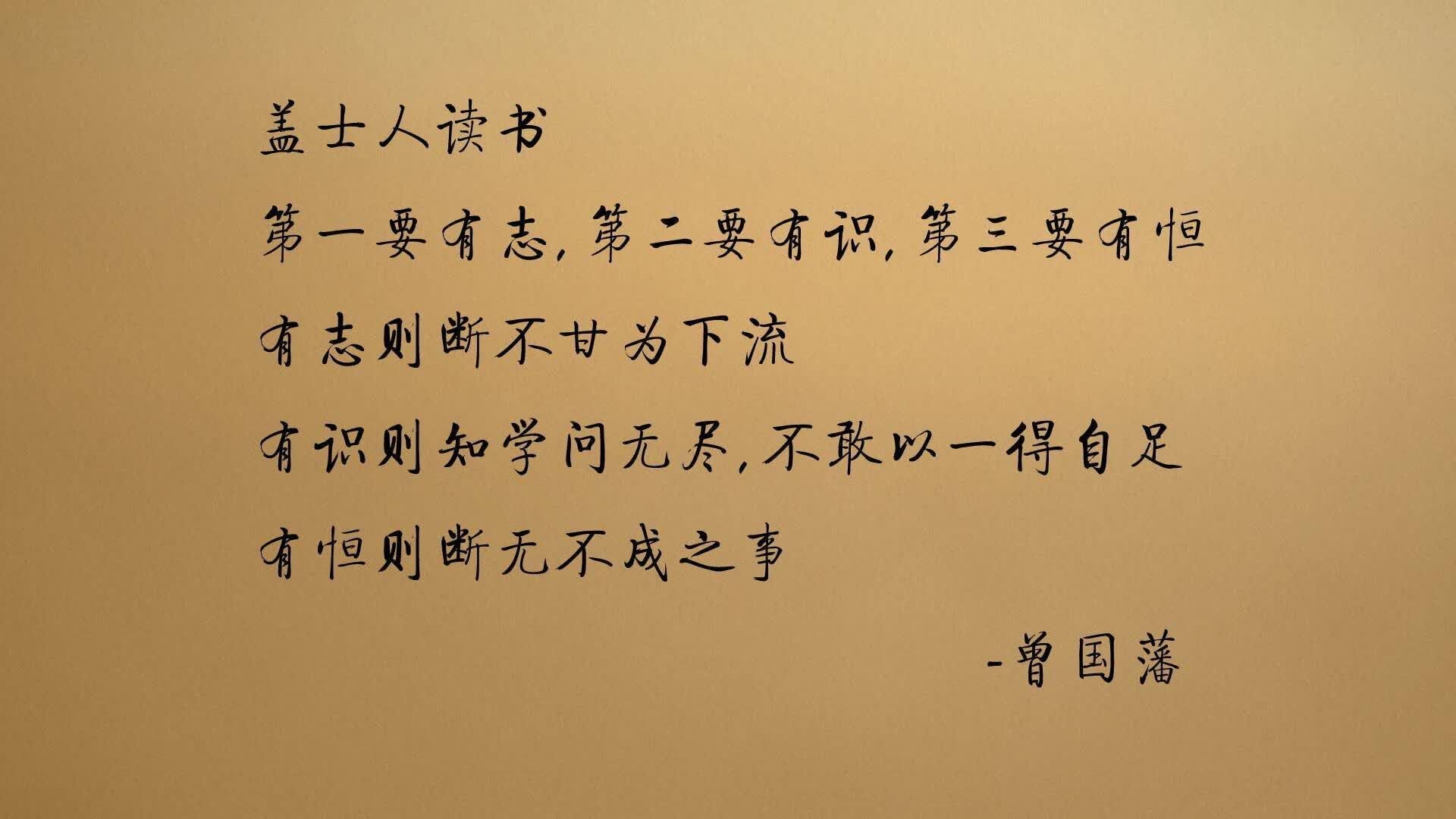 钢铁防线与致命闪电,波兰如何用防守反击,在世界杯争冠战上刺穿加拿大